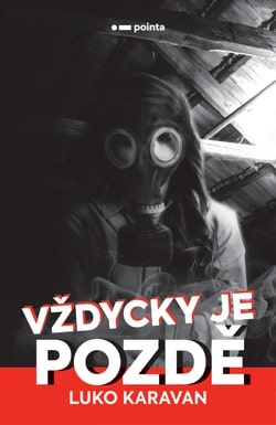 Vždycky je pozdě - román